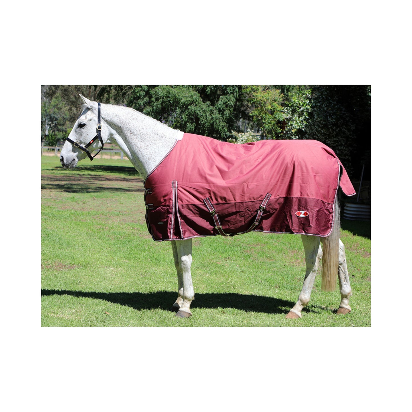 Explorer 200 Rug