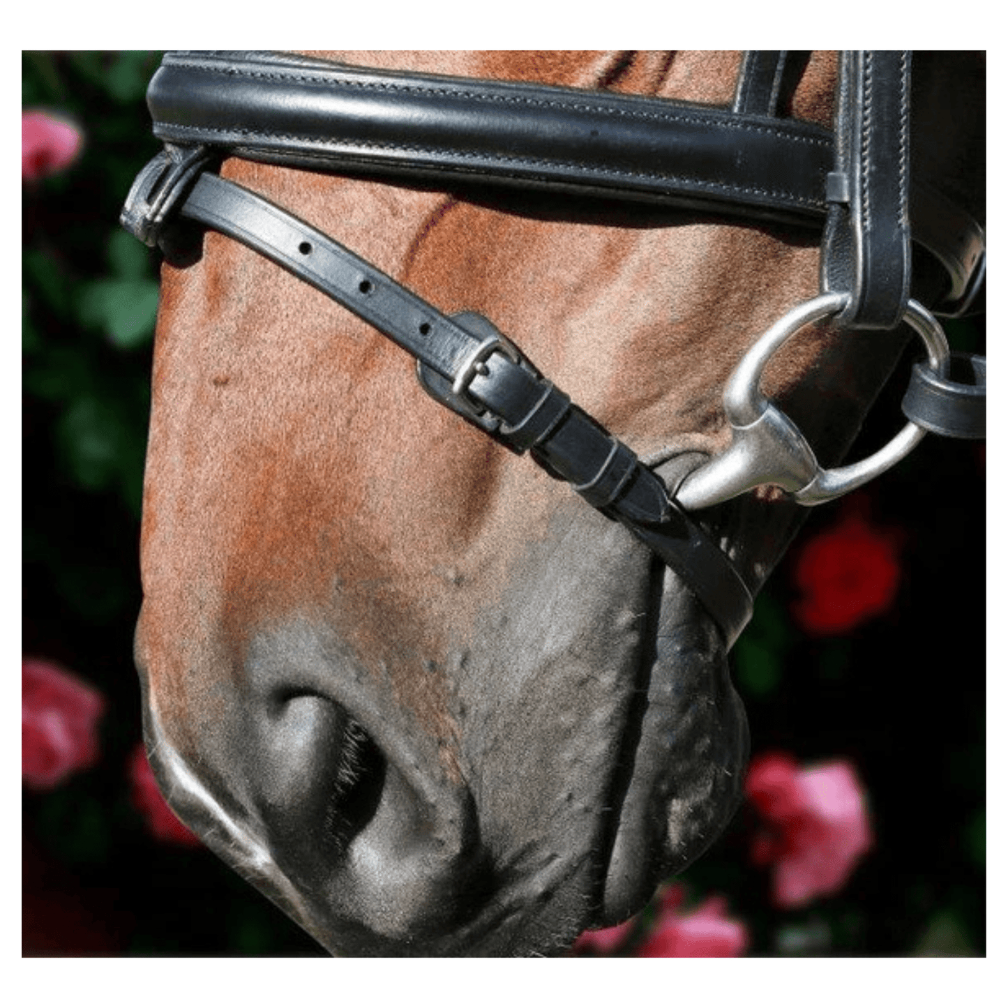 Clincher Wave Snaffle Bridle Havana| Flexible Fit - The Horse Shop AU