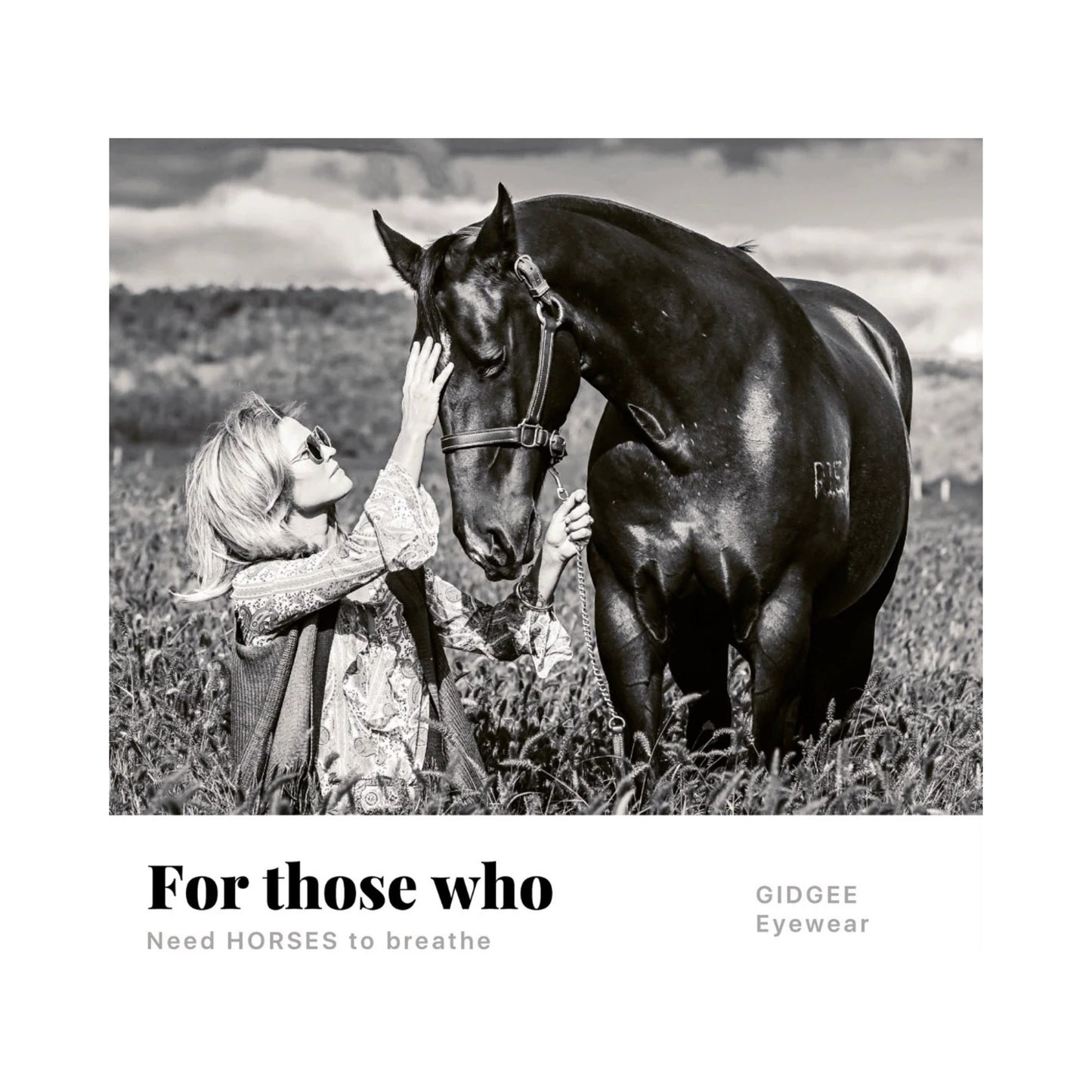 FENDER Black | Gidgee Sunglasses - The Horse Shop AU