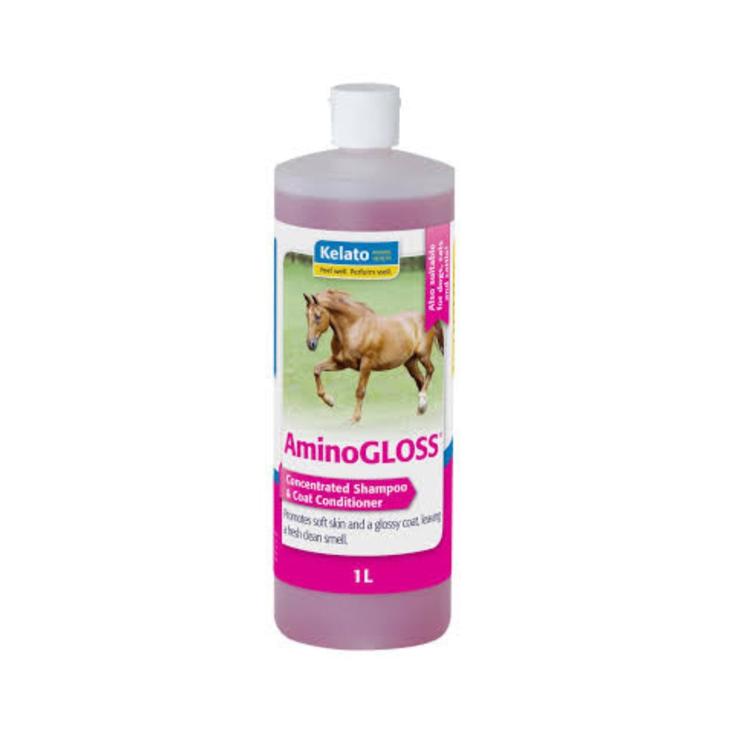 Kelato Aminogloss Shampoo Concentrate 1L - The Horse Shop AU