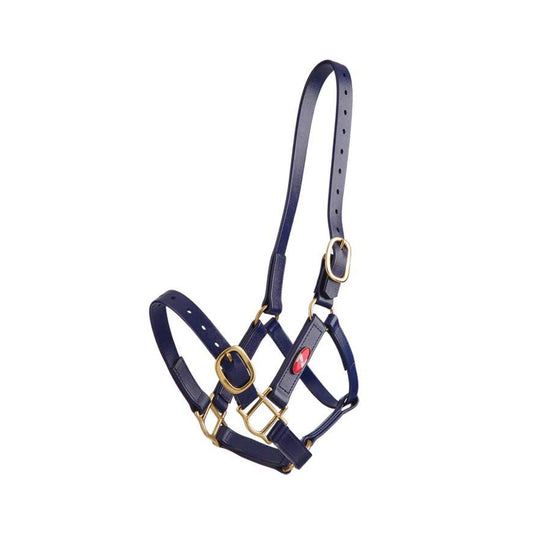 Zilco 25mm PN Headstall - The Horse Shop AU