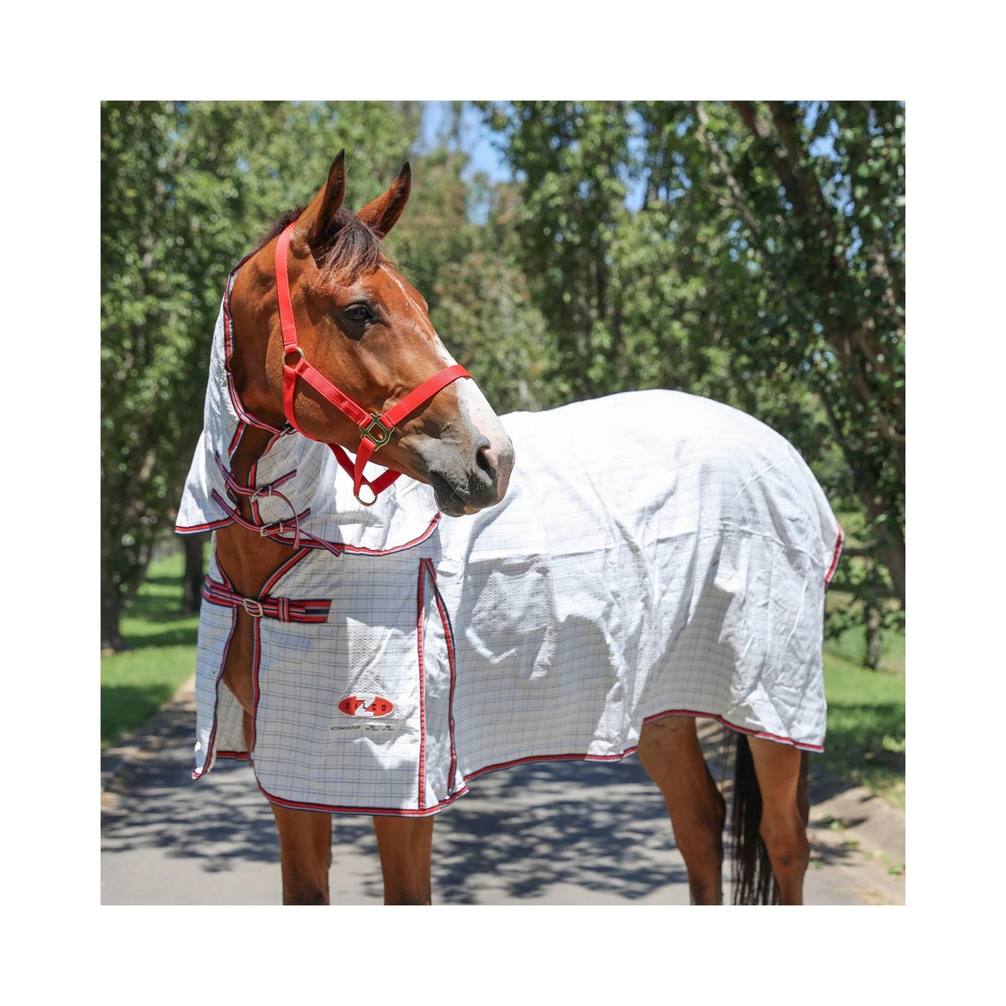 Zilco Econostop Combo - The Horse Shop AU