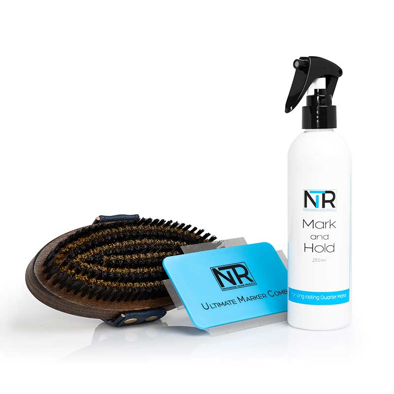 NTR + HSE