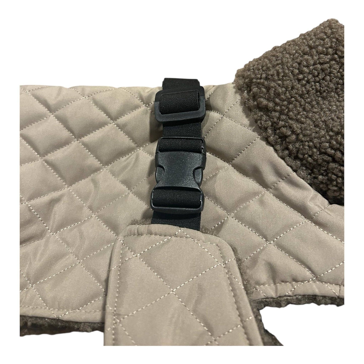 The Snuggie - Water shower proof Dachshund jacket