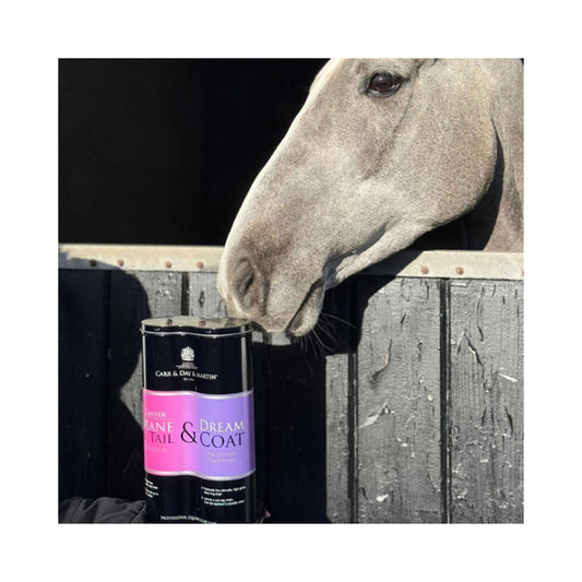CDM Duo Pack - Canter & Dreamcoat 500ml