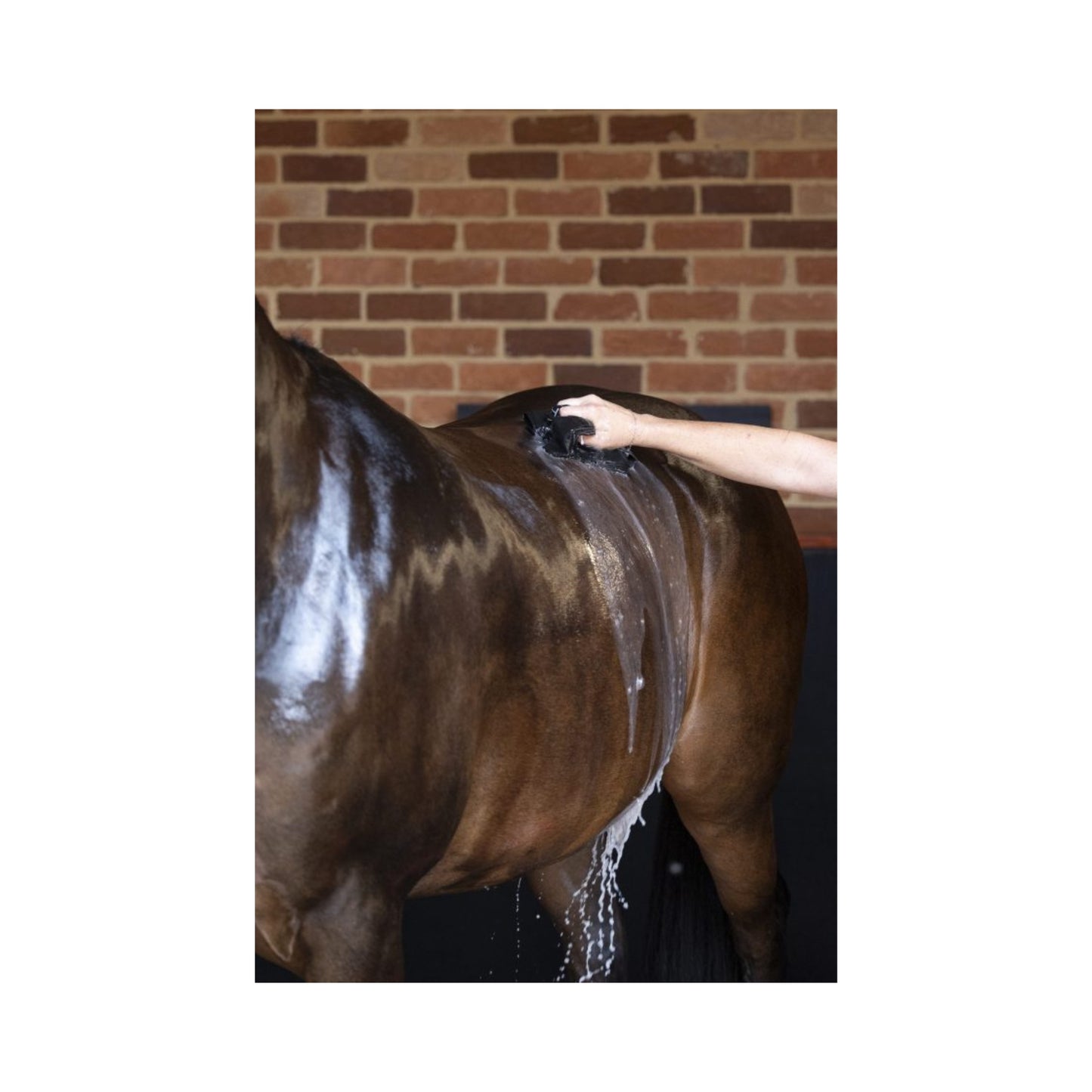 HSE Hot Oil Coat Conditioner