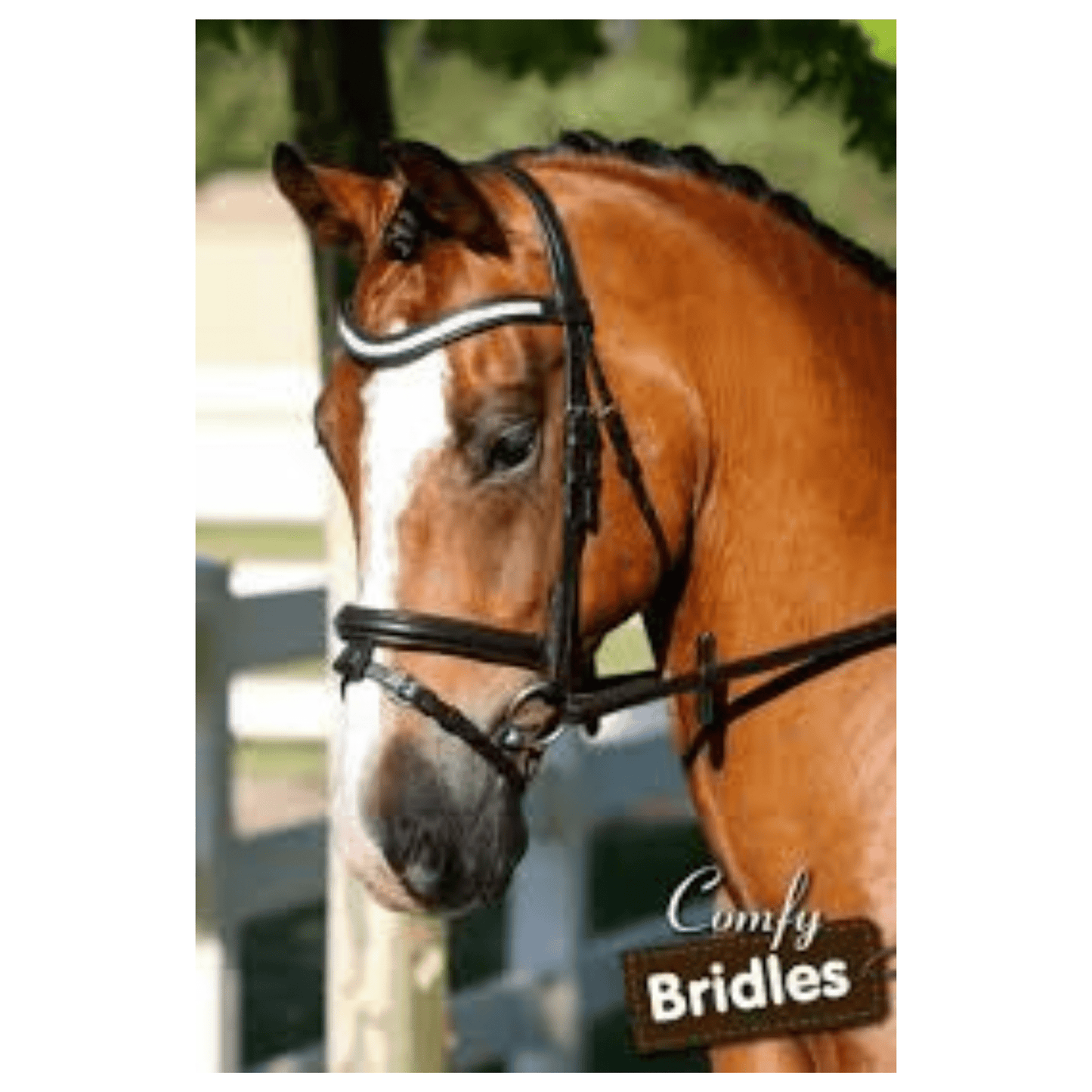 4 Row Crystal Wave Snaffle Bridle Havana | Flexible Fit - The Horse Shop AU