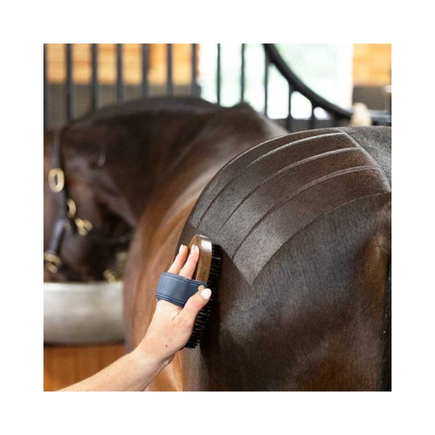 NTR Harmony Copper Brush