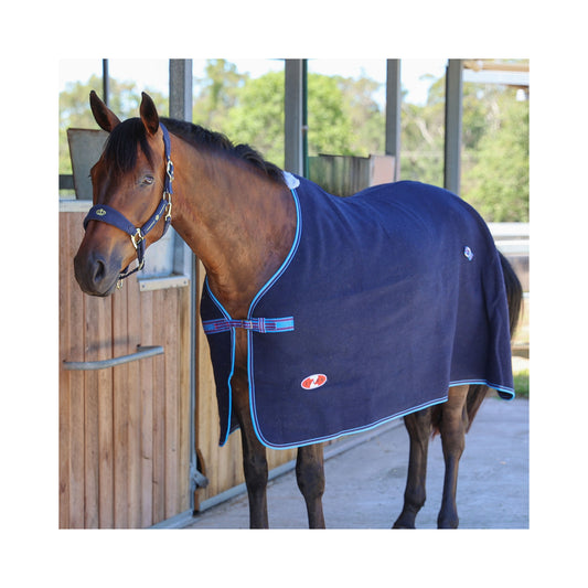 Defender Wool Rug