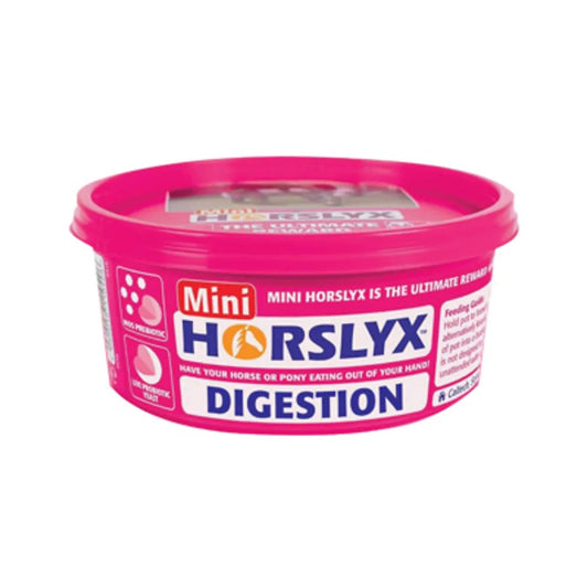 Horslyx Digestion Vit & Mineral Lick 650g