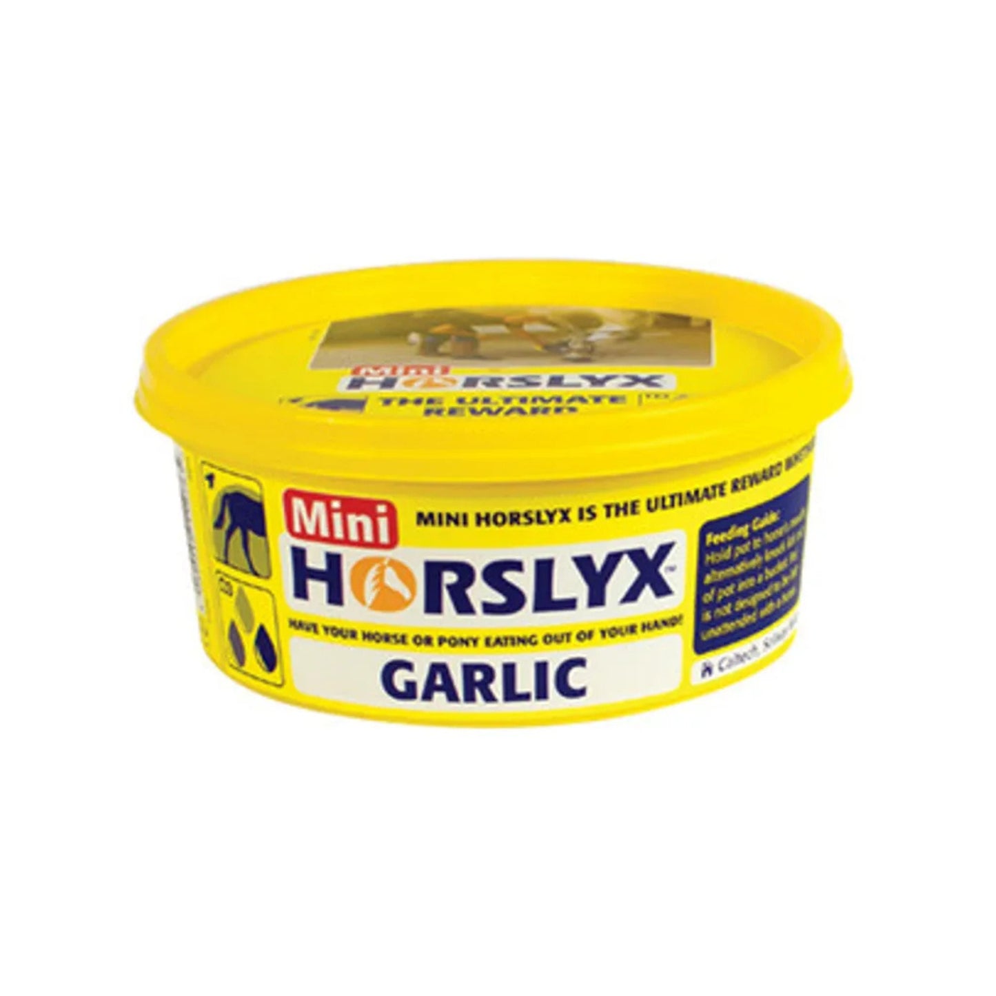 Horslyx Garlic Mini Vit & Mineral Lick 650g