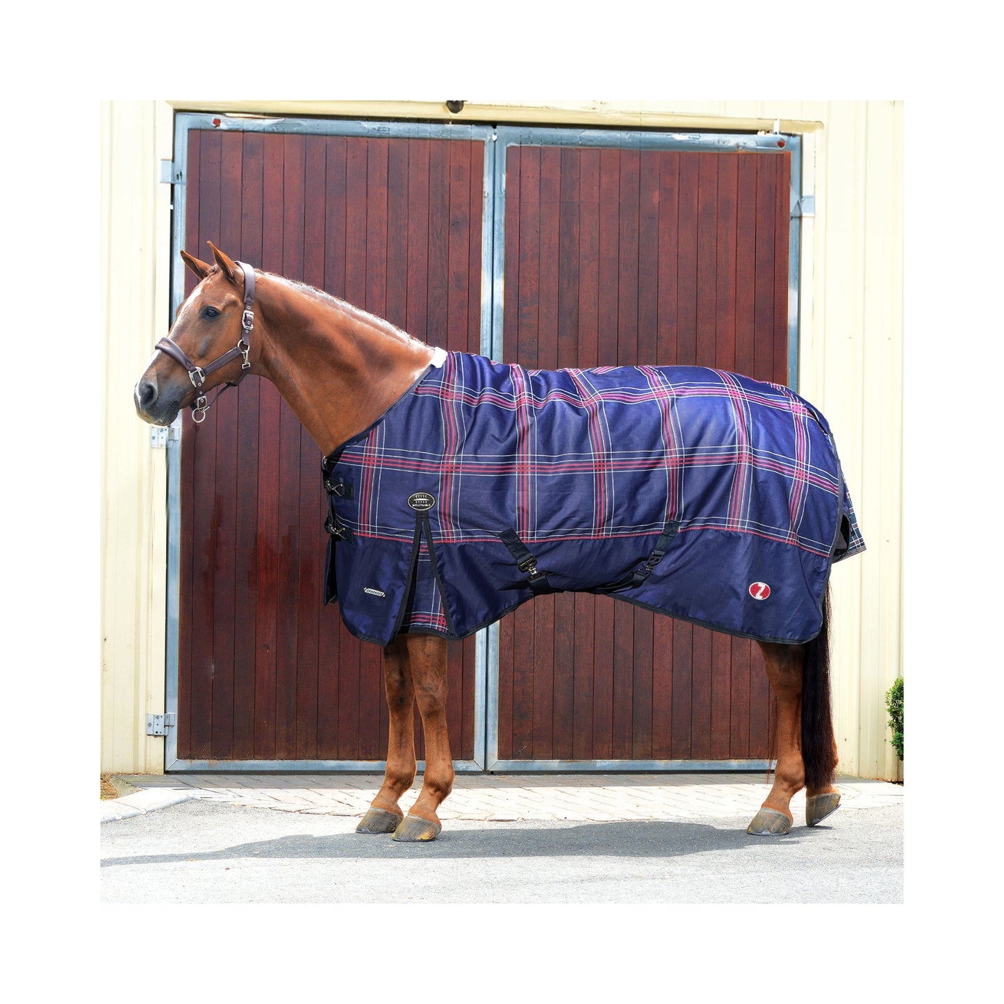 Crusader 200 Rug