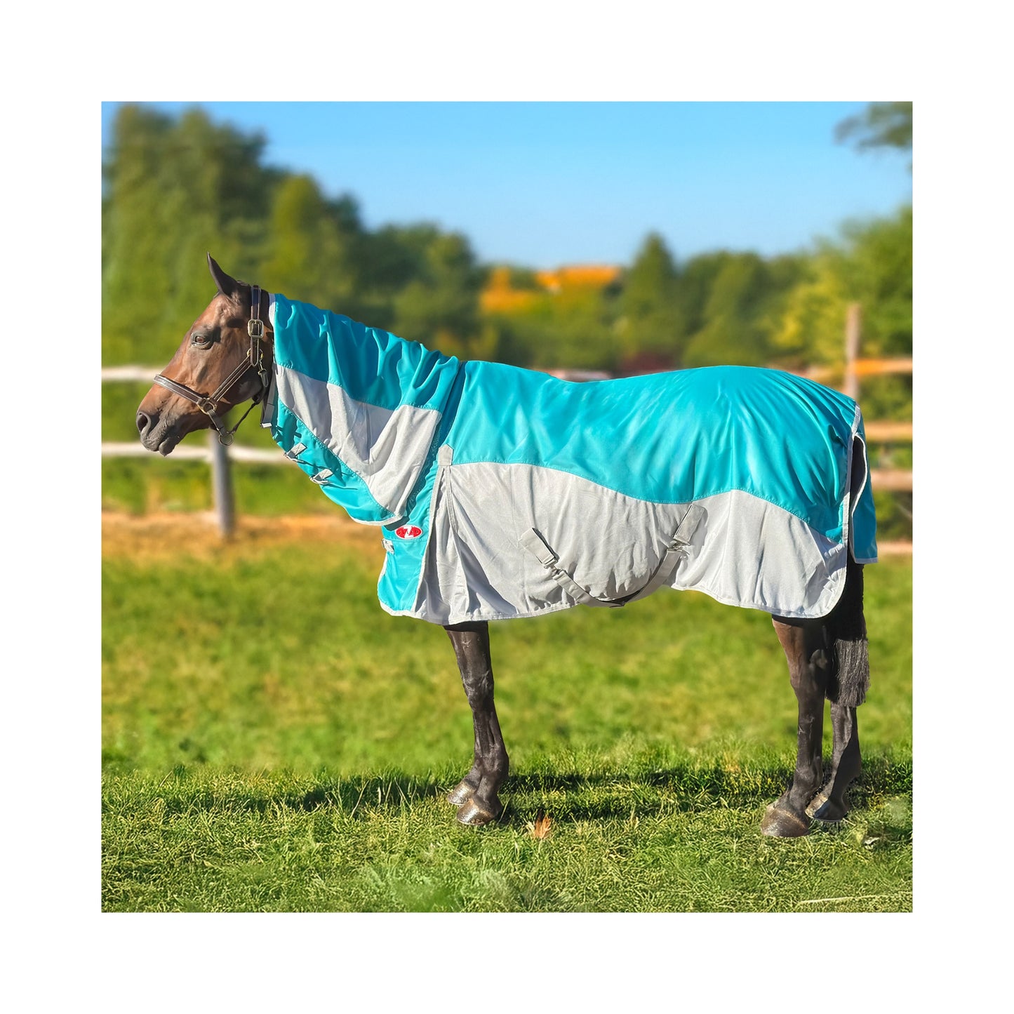 Guardian Hybrid Combo