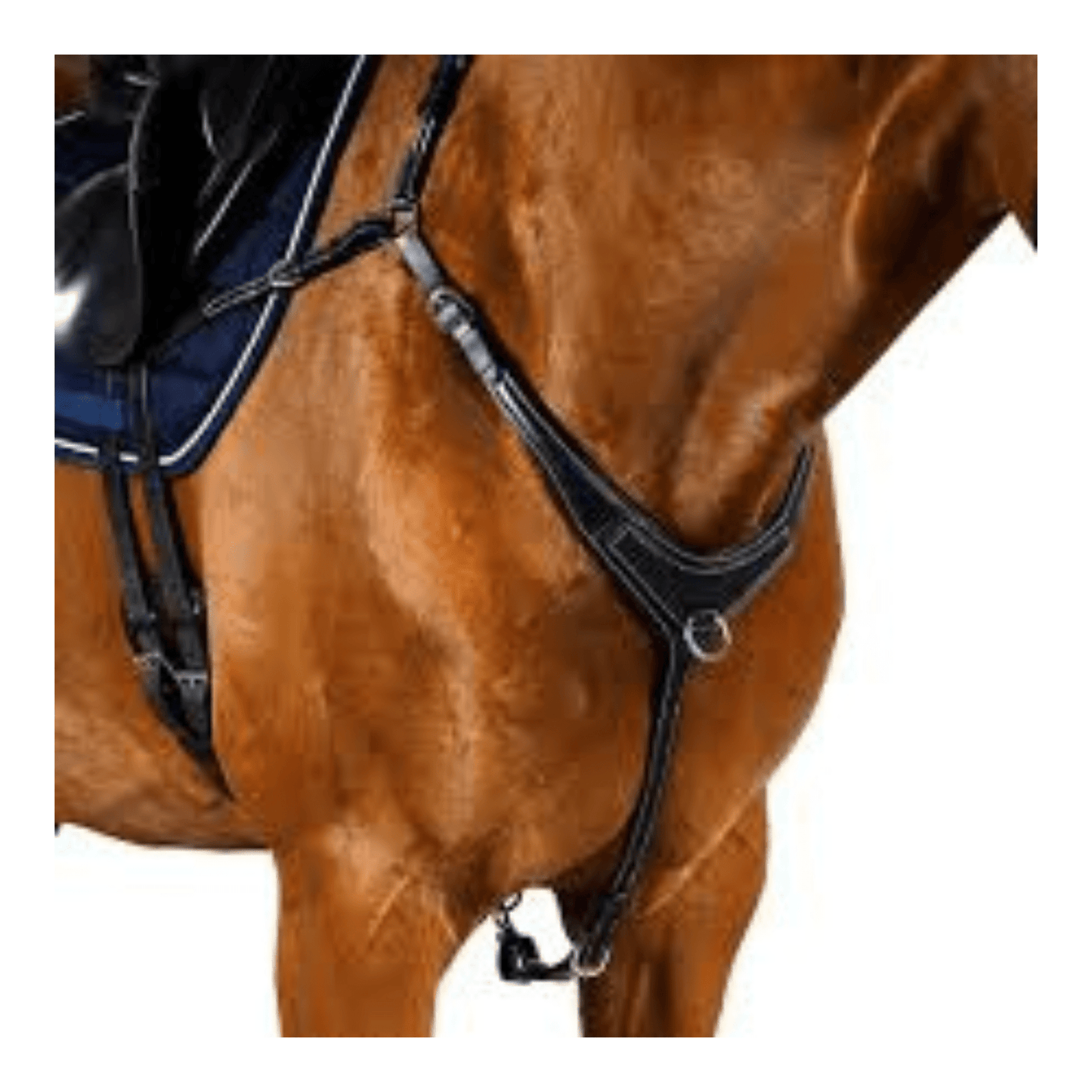 AR 3 Point Bridge Breastplate Black | Flexible Fit - The Horse Shop AU