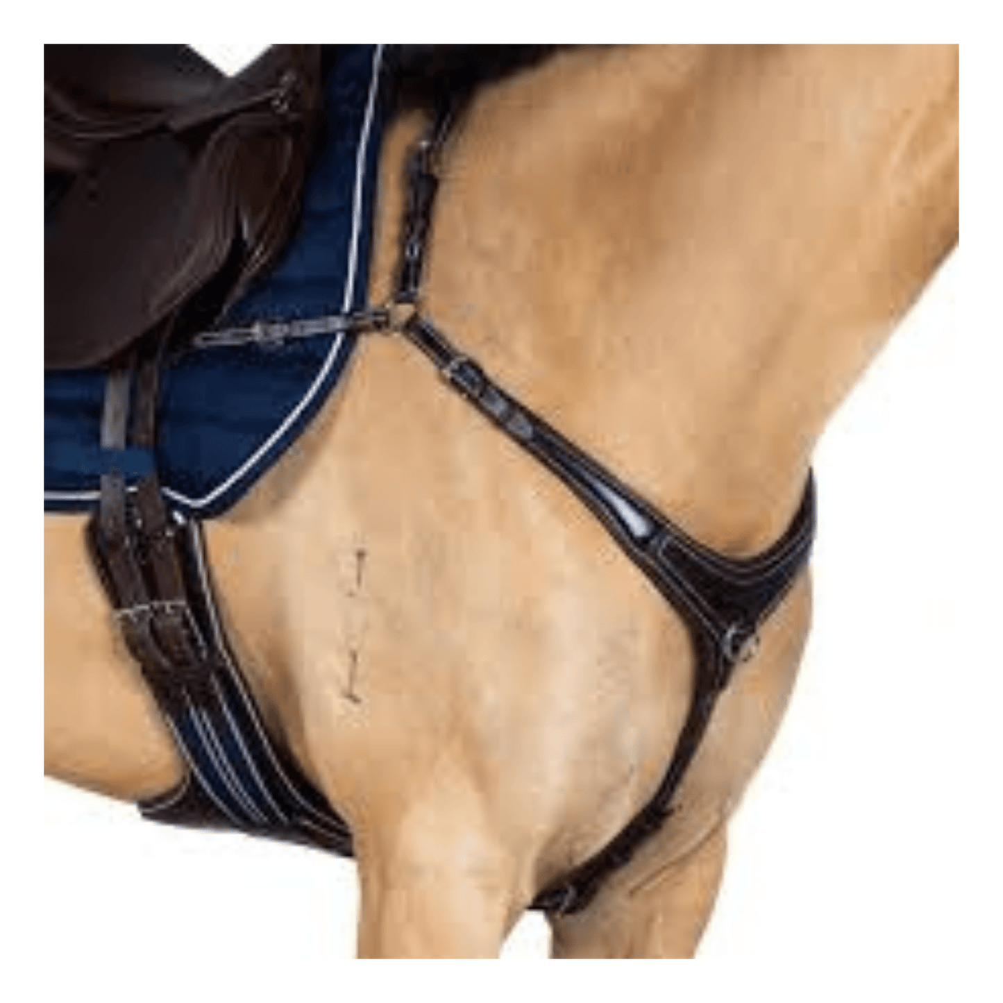 AR 3 Point Bridge Breastplate Black | Flexible Fit - The Horse Shop AU