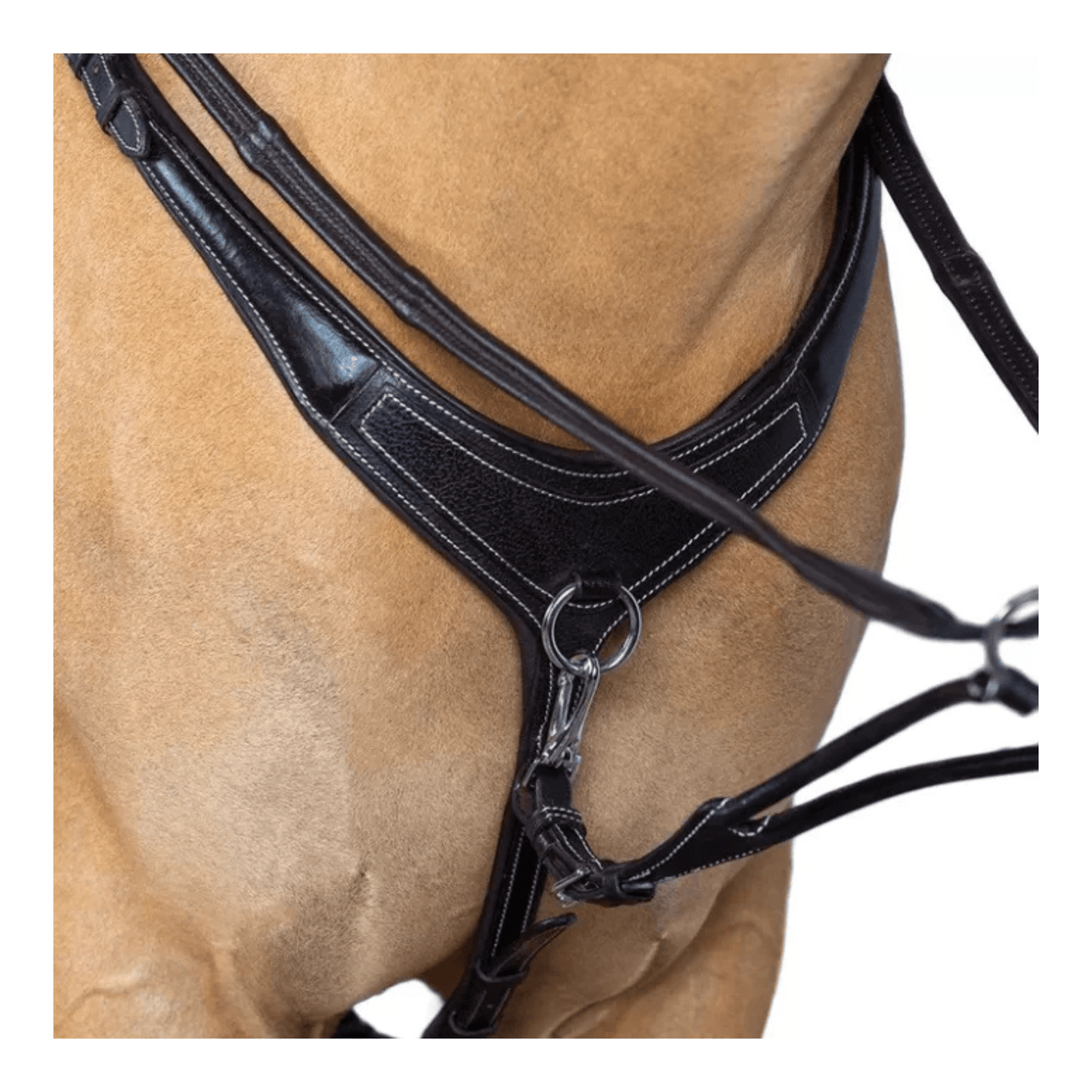 AR 3 Point Bridge Breastplate Black | Flexible Fit - The Horse Shop AU