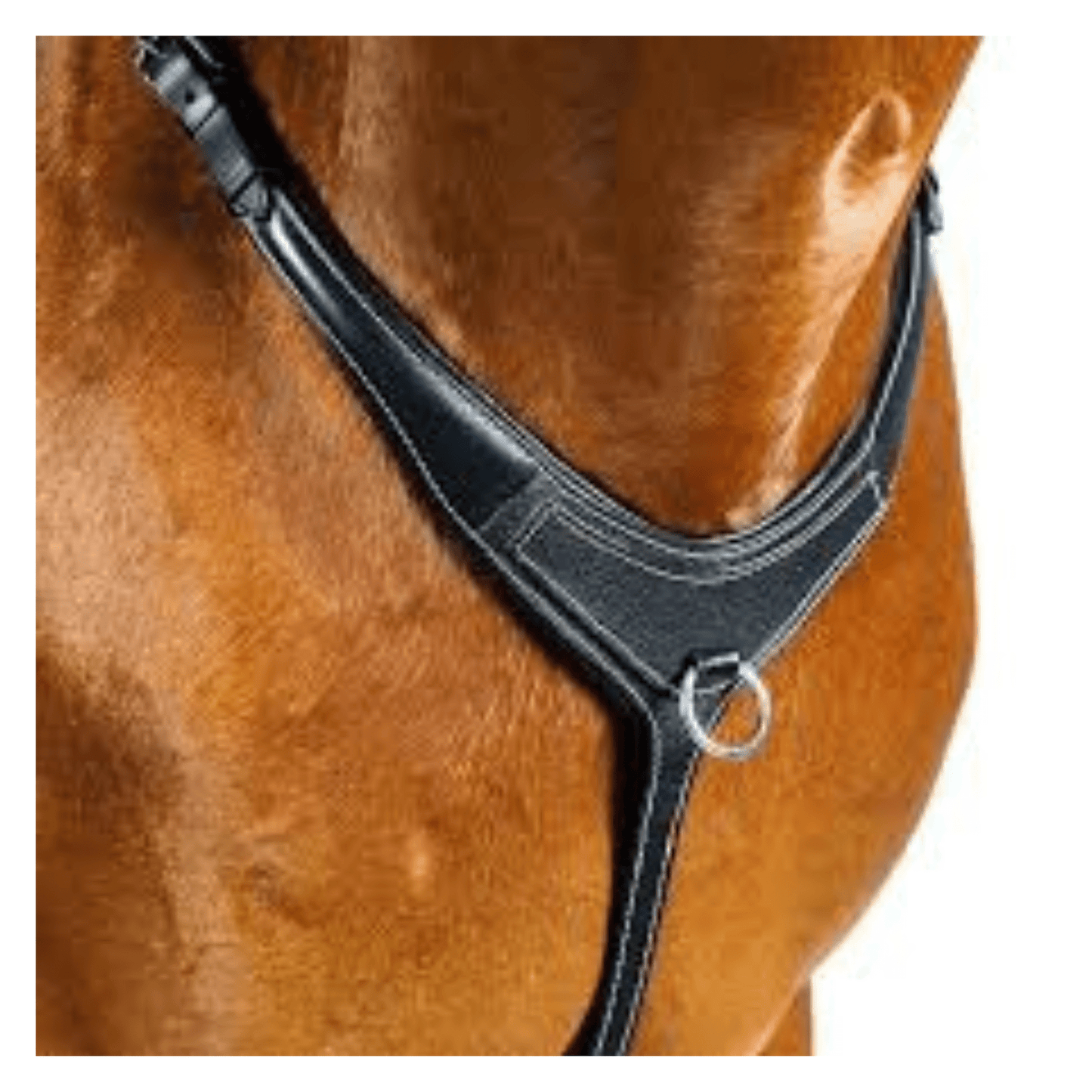 AR 3 Point Bridge Breastplate Black | Flexible Fit - The Horse Shop AU
