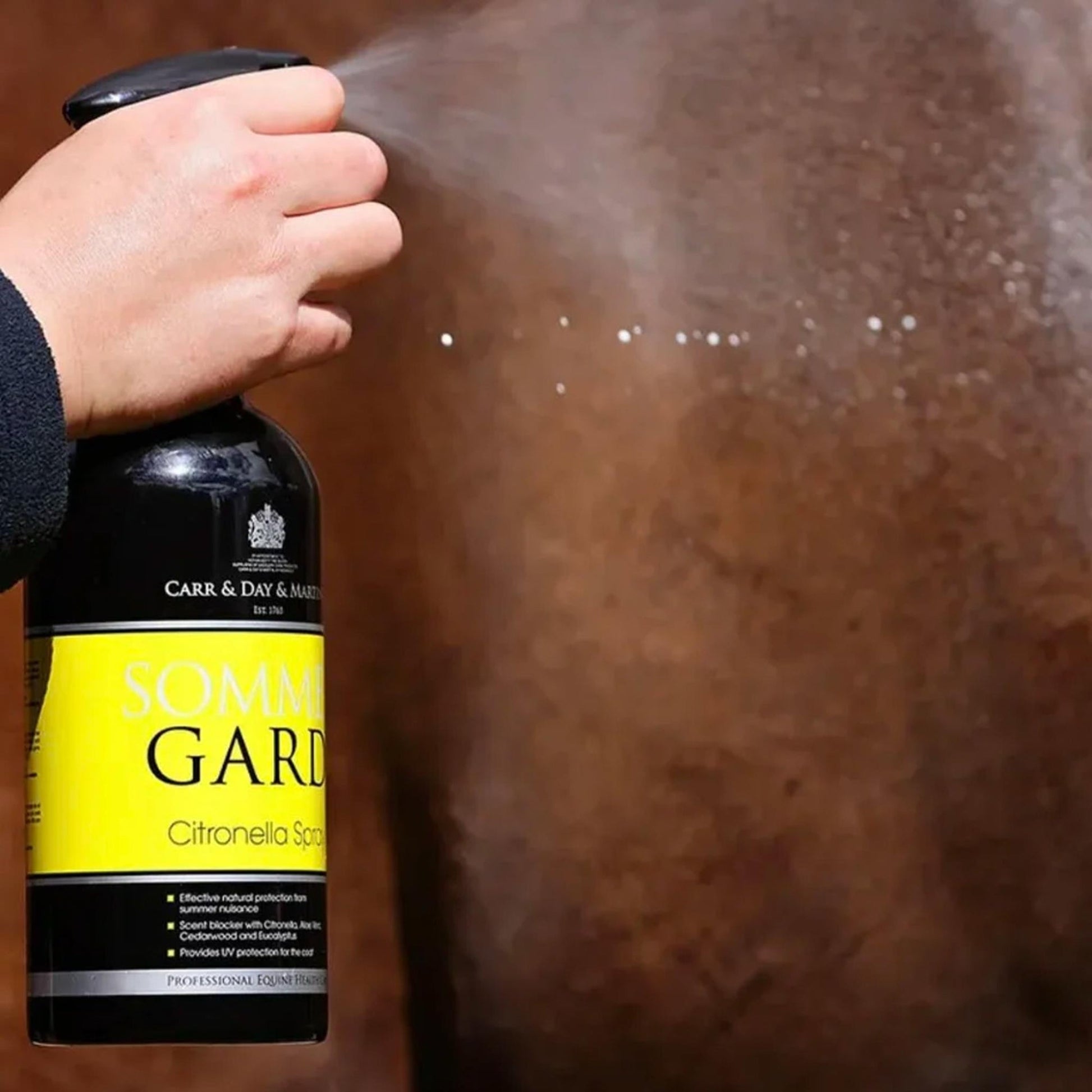 CDM Sommergard 1L - The Horse Shop AU