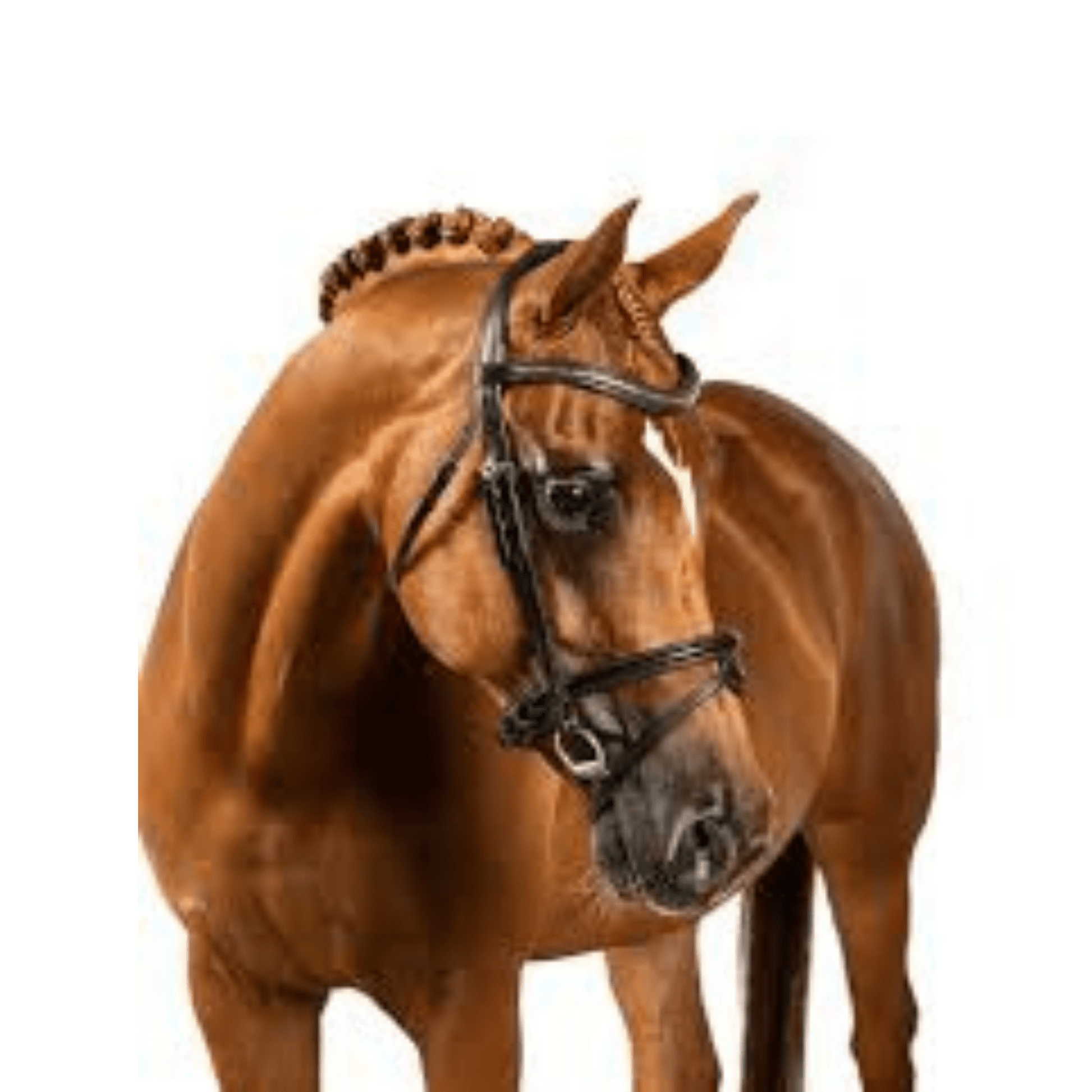 Clincher Wave Snaffle Bridle Havana| Flexible Fit - The Horse Shop AU