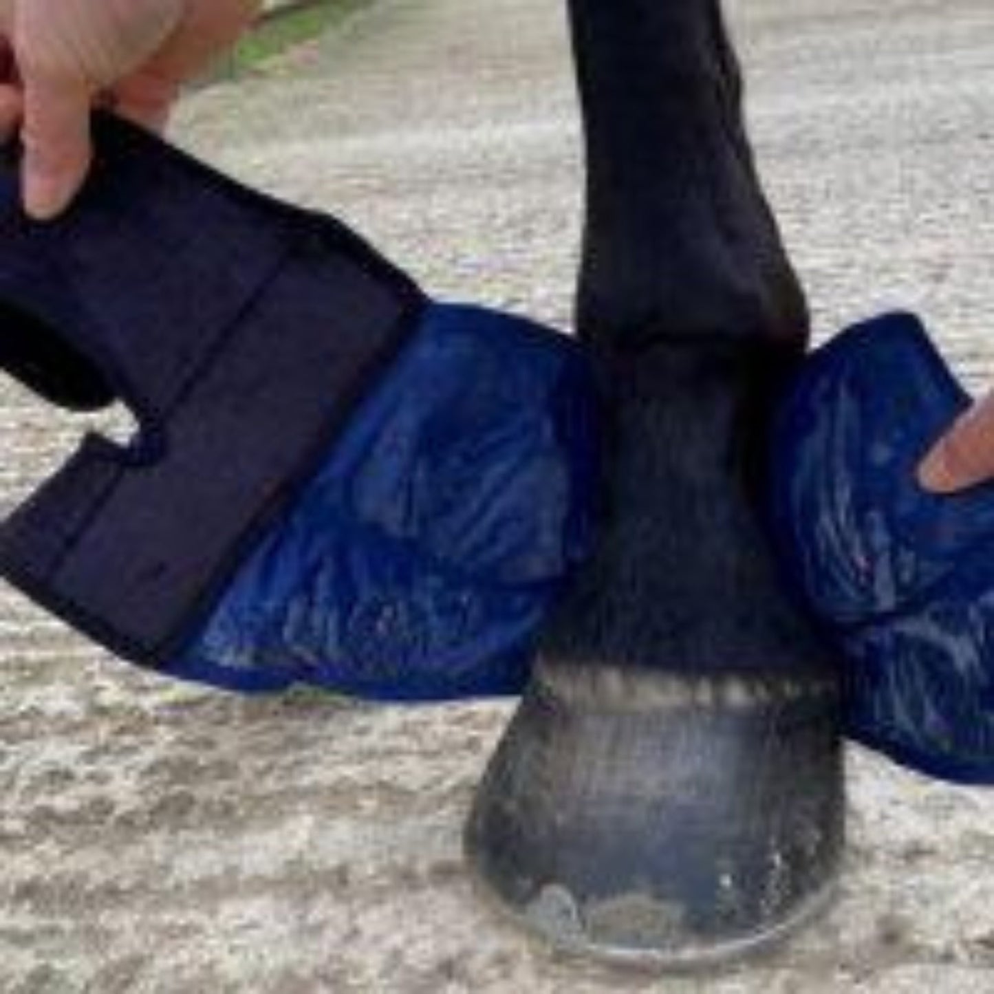 Cryochaps Absolute Ice Wrap Pair Pastern/Hocks/Knees - The Horse Shop AU