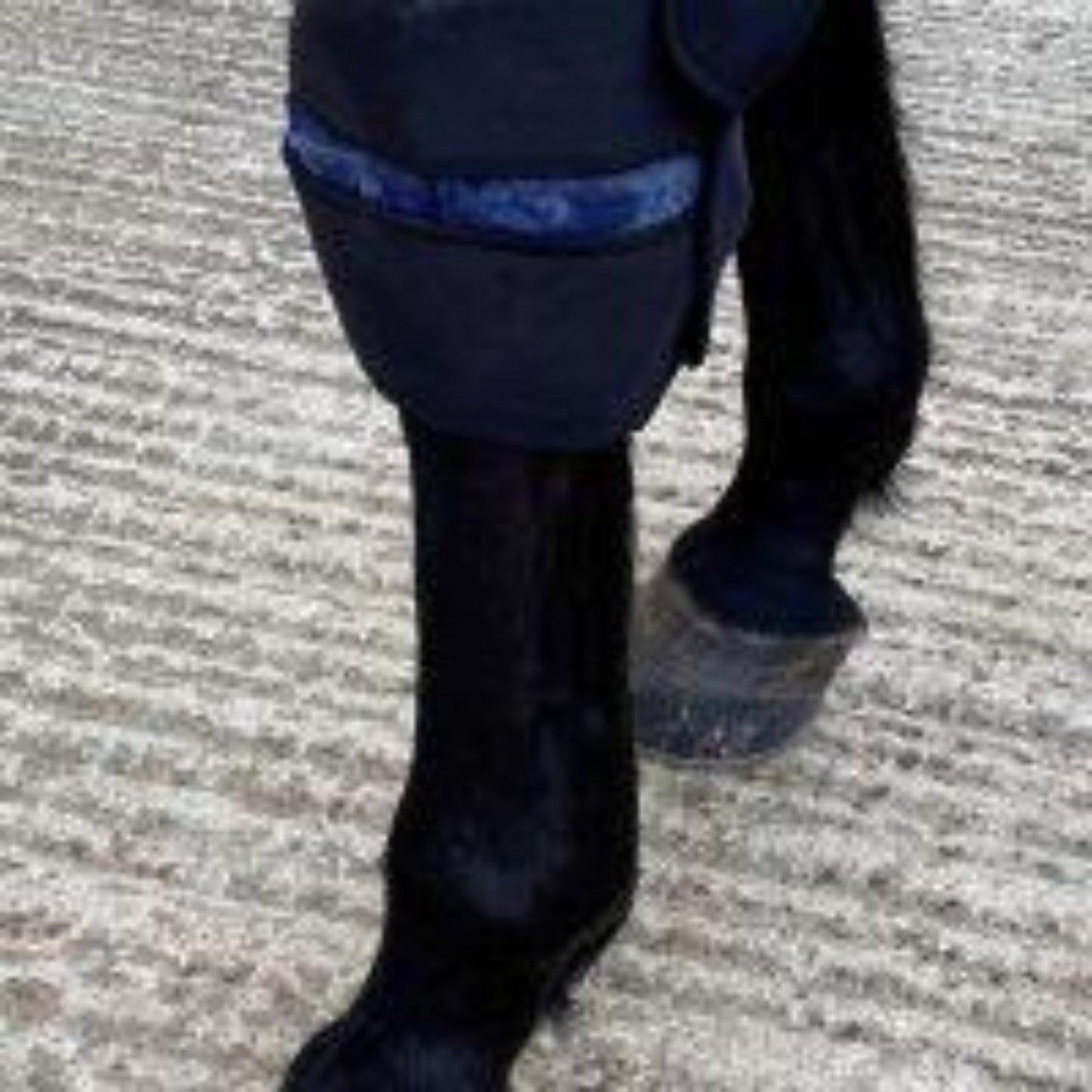 Cryochaps Absolute Ice Wrap Pair Pastern/Hocks/Knees - The Horse Shop AU