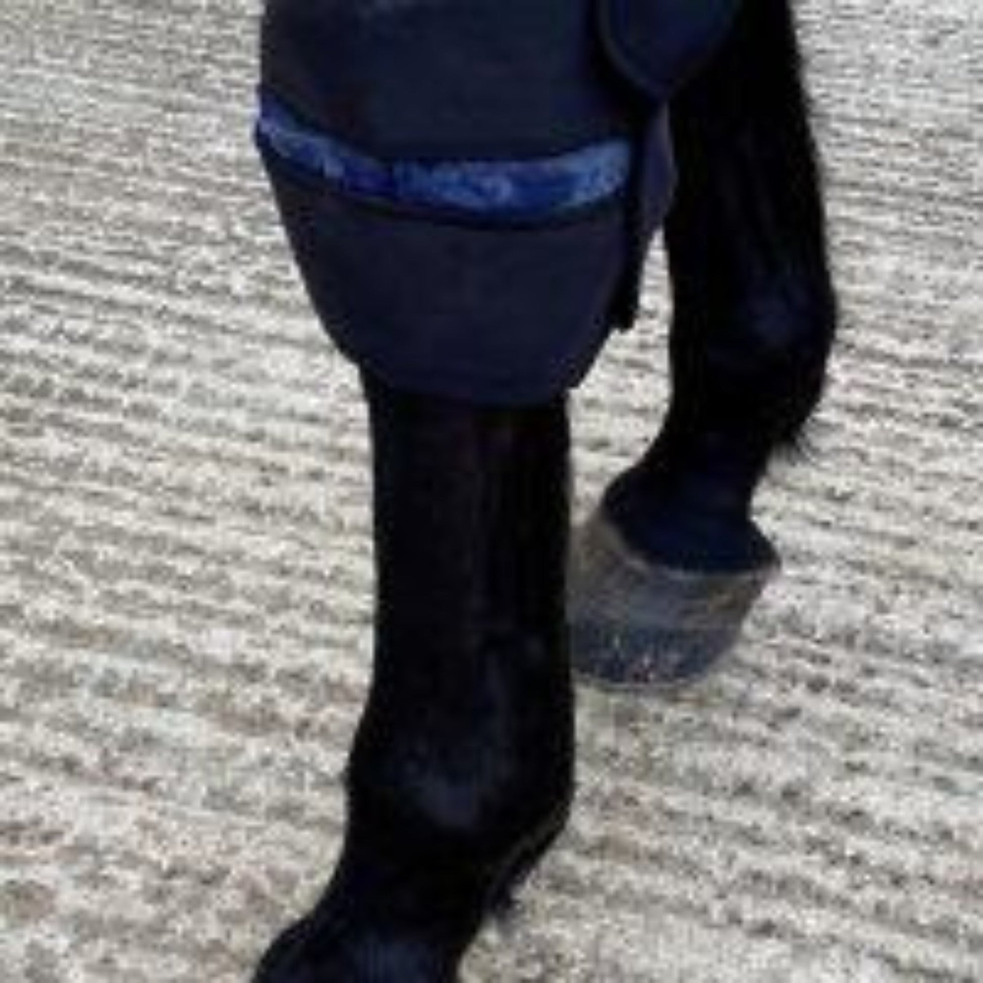 Cryochaps Absolute Ice Wrap Pair Pastern/Hocks/Knees - The Horse Shop AU