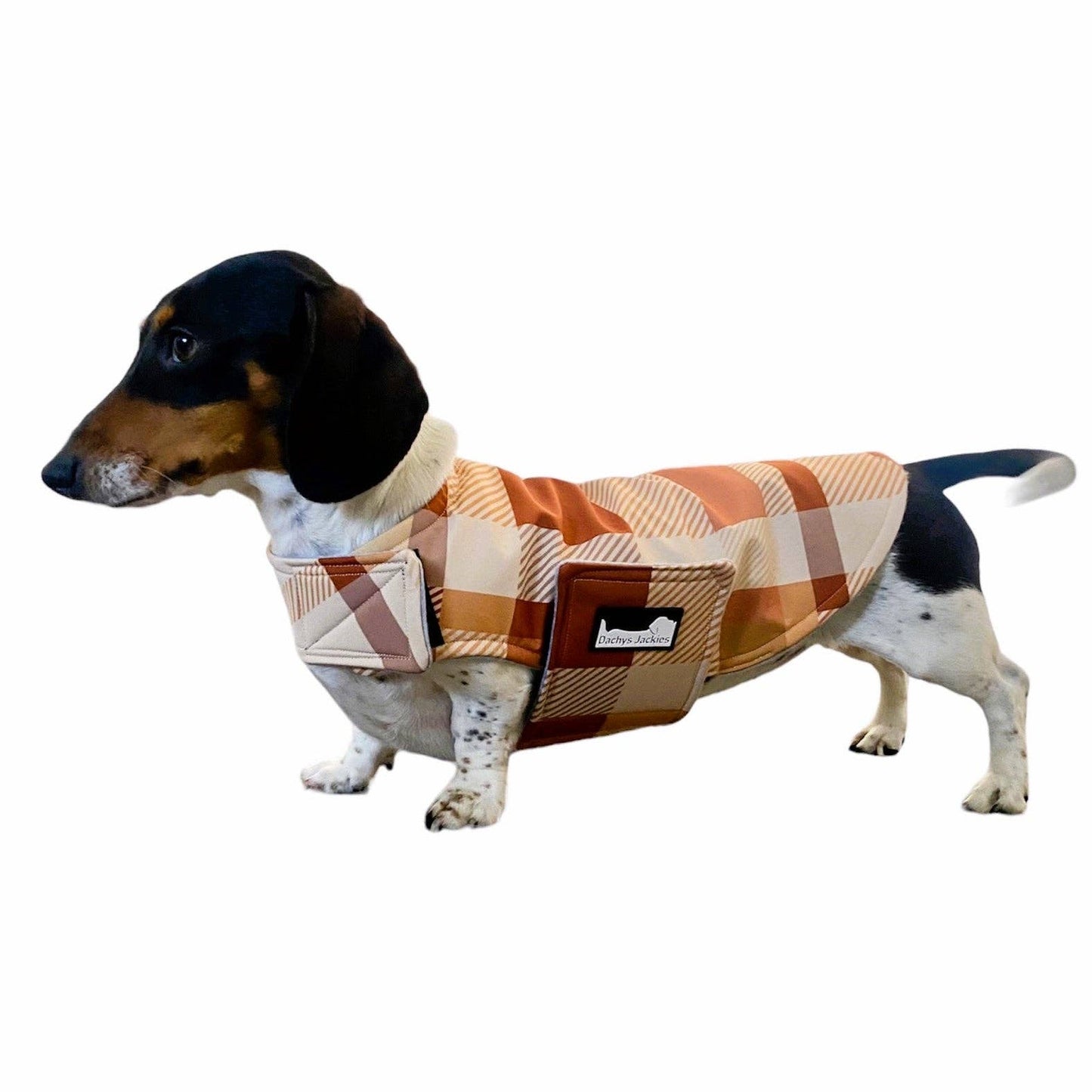 Dapper Caramel Delight