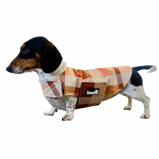Dapper Caramel Delight
