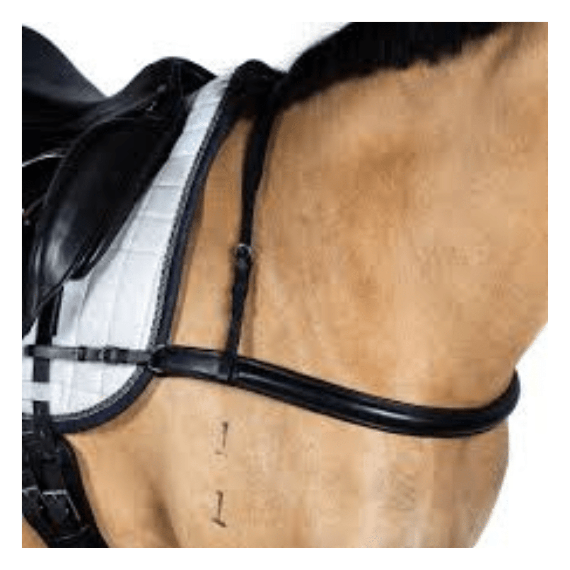 Dressage Straight Breastplate Havana | Flexible Fit - The Horse Shop AU