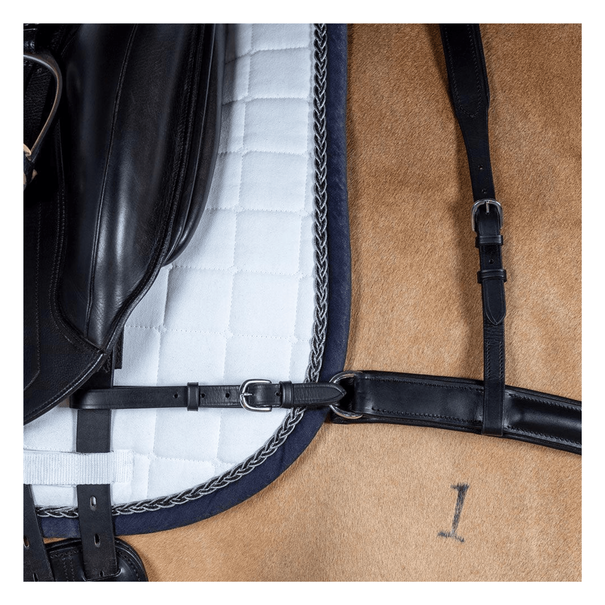 Dressage Straight Breastplate Havana | Flexible Fit - The Horse Shop AU