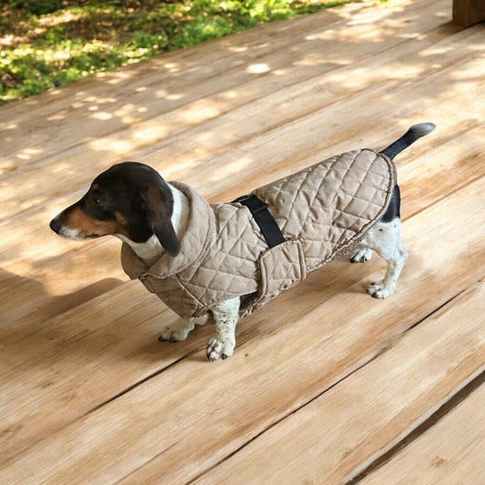 The Snuggie - Water shower proof Dachshund jacket