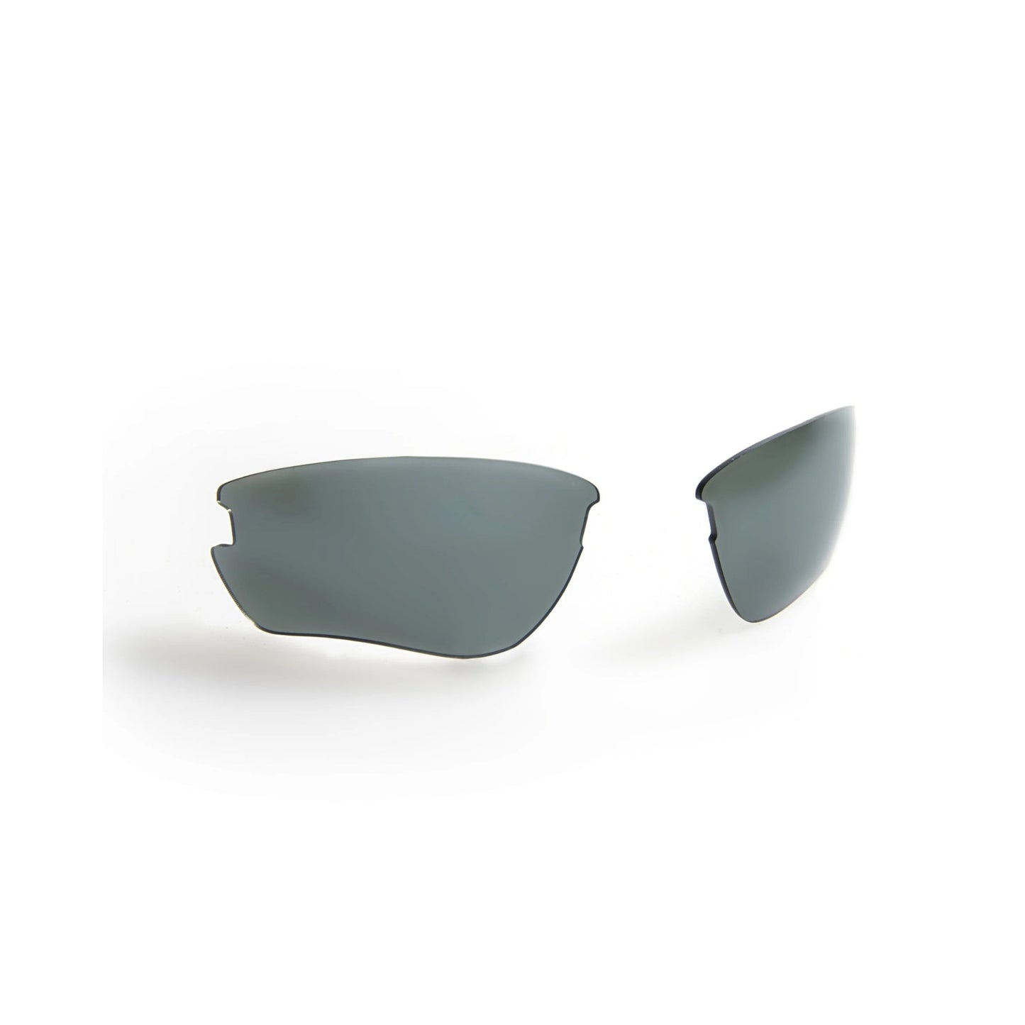 ELITE Black | Gidgee Sunglasses - The Horse Shop AU