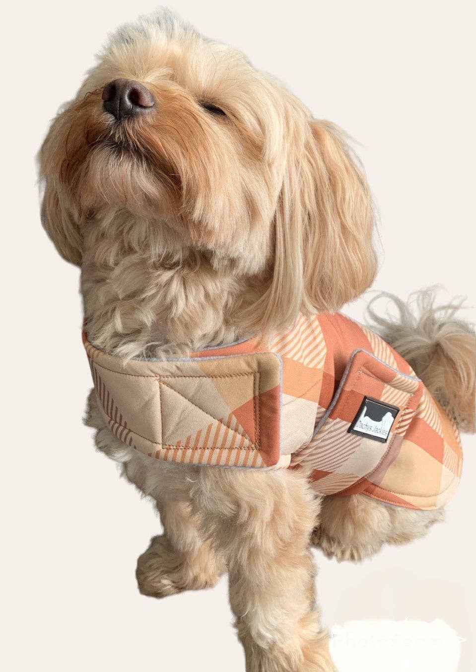 Dapper Caramel Delight
