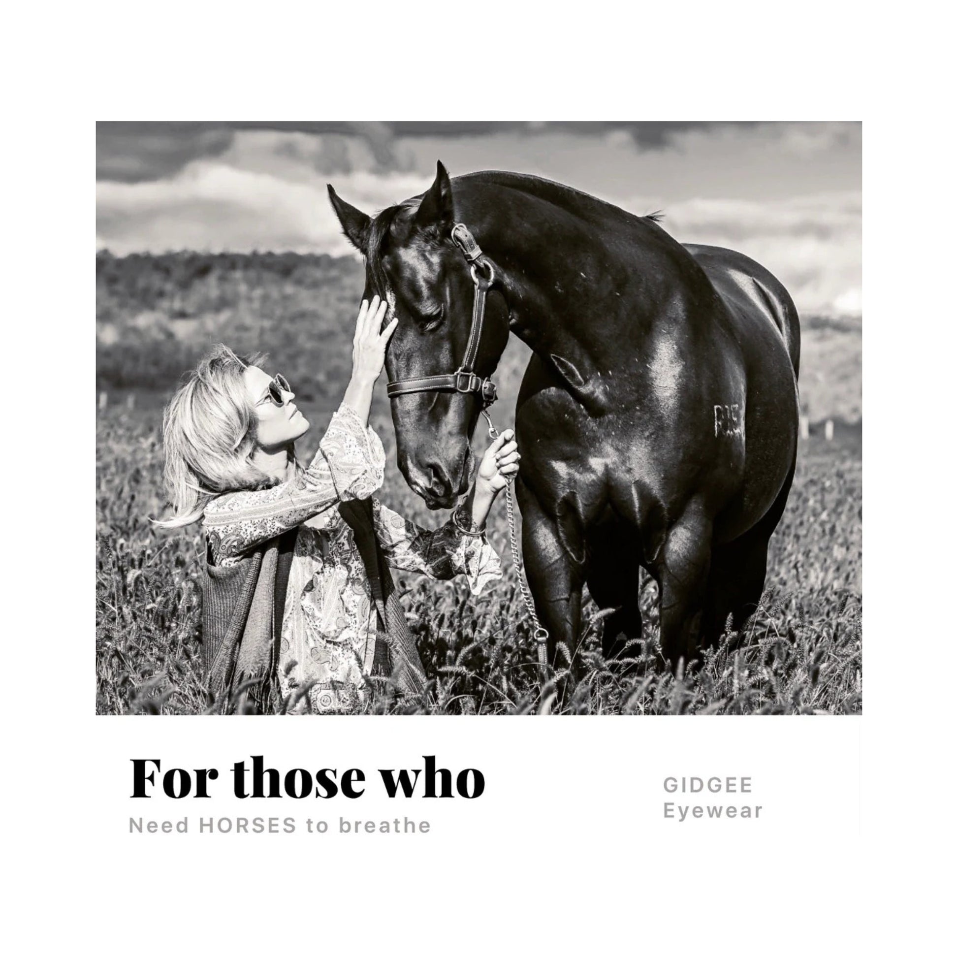 FENDER Black | Gidgee Sunglasses - The Horse Shop AU