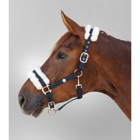 Halter Modern Rose Night Blue Full - The Horse Shop AU