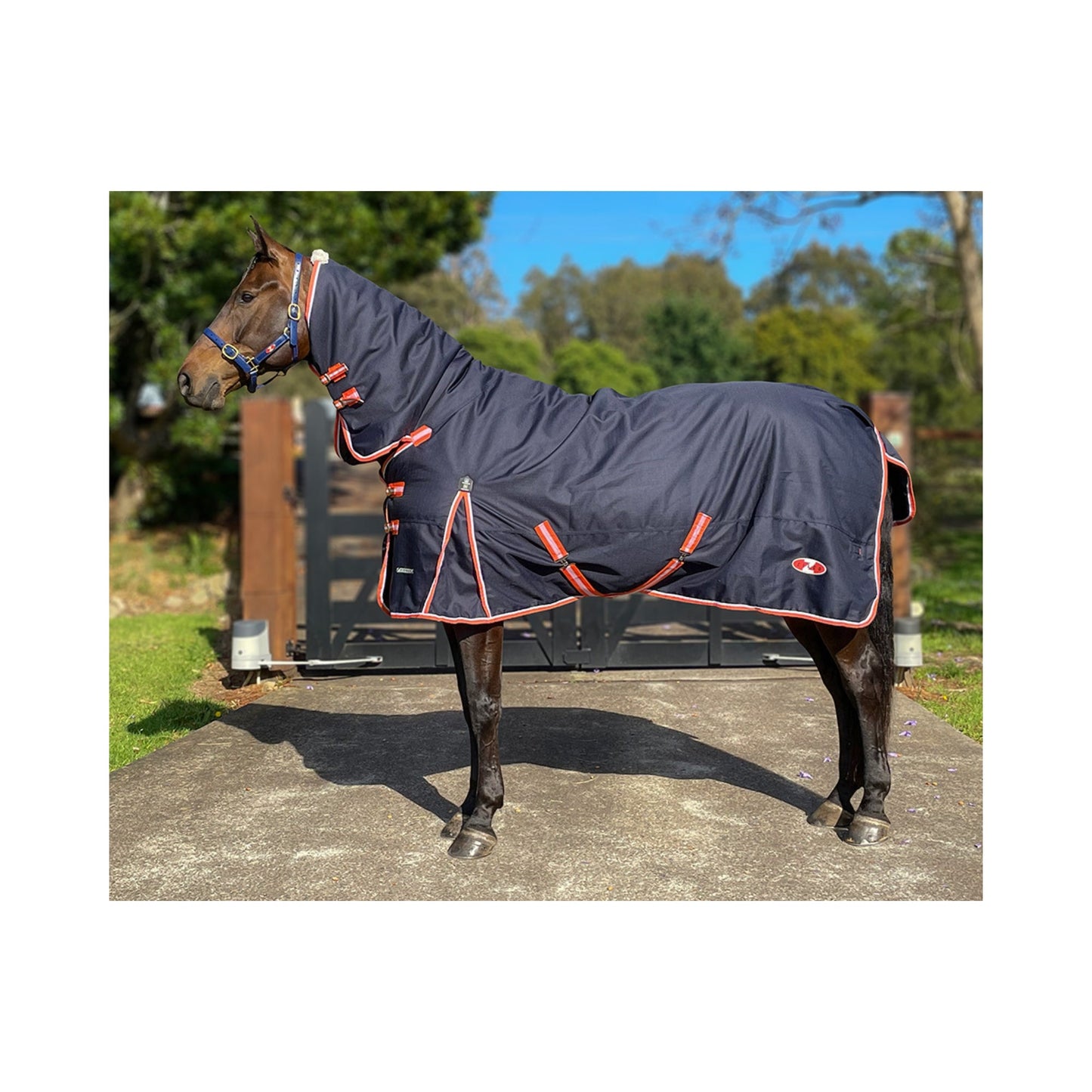 Pioneer Combo - The Horse Shop AU