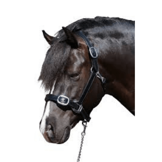 Plain Flat Stainless Steel Black Halter | Flexible Fit - The Horse Shop AU