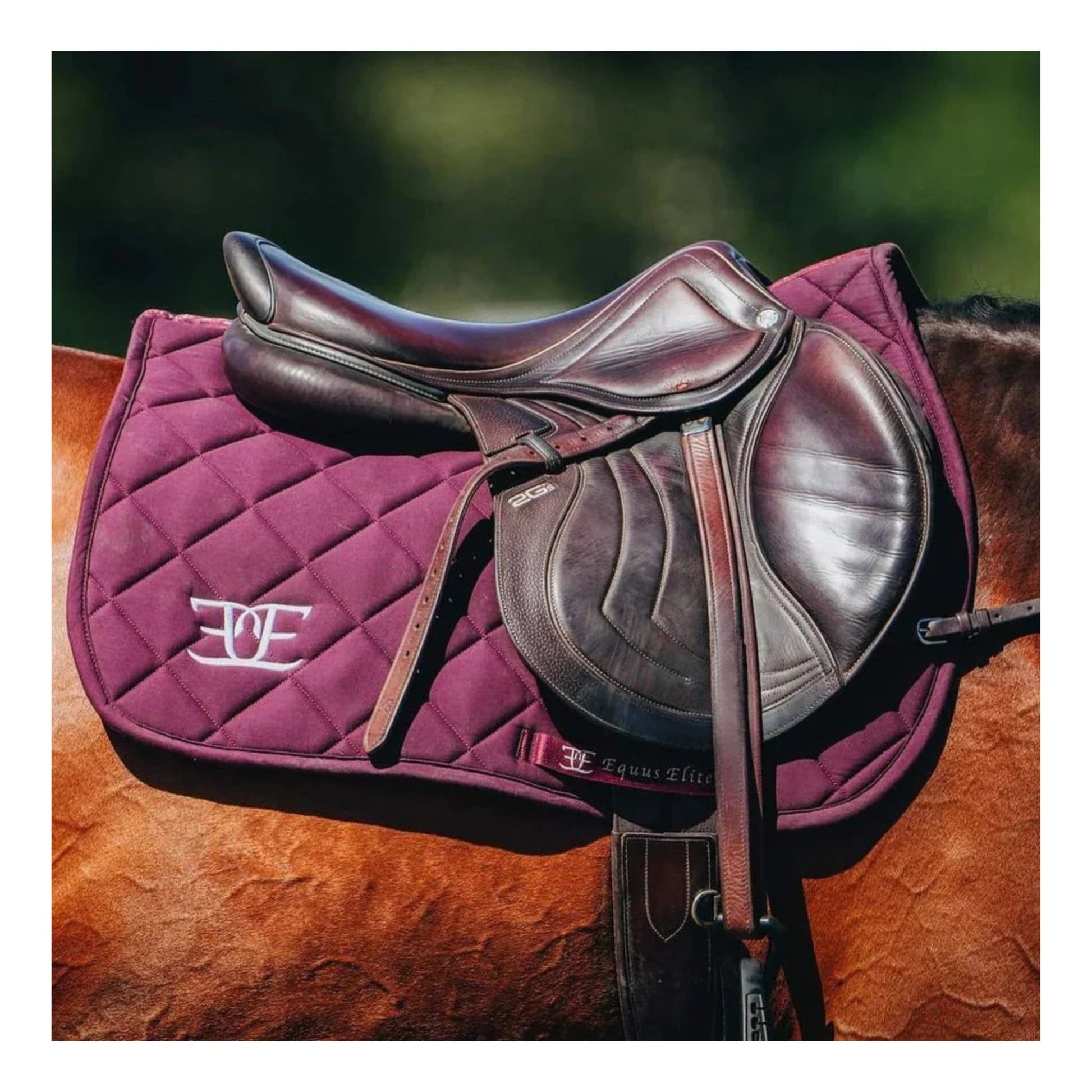 Saddle Pad Burgundy | Equus Elite - The Horse Shop AU