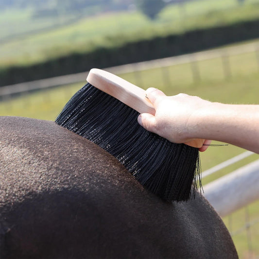 Shires EZI - GROOM Premium Long Dandy Brush Wood 170mm / 75mm Bristles - The Horse Shop AU