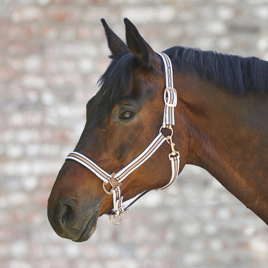 Waldhausen Halter Rose Shine White Full - The Horse Shop AU