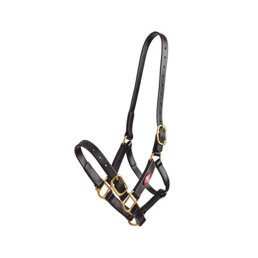 Zilco 25mm PN Headstall - The Horse Shop AU