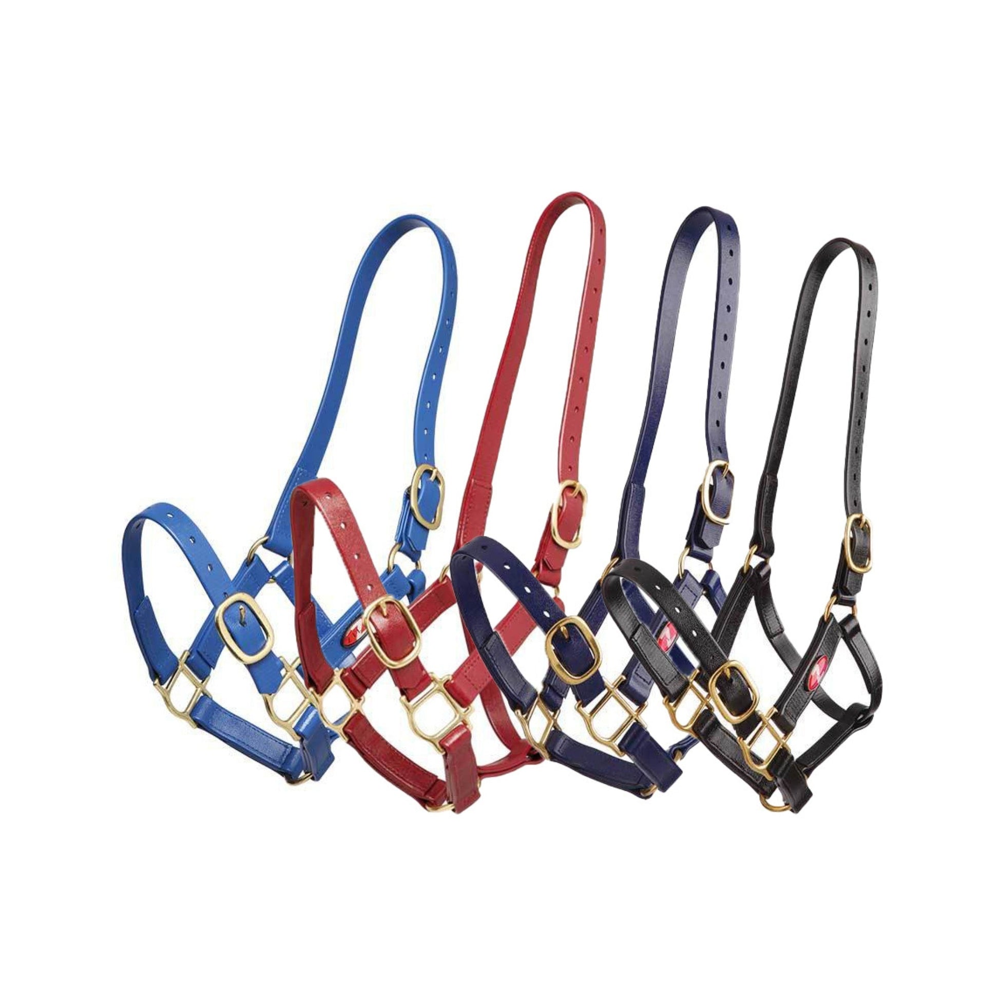 Zilco 25mm PN Headstall - The Horse Shop AU